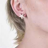 Ohrstecker "Seestern"