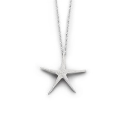 Anhänger "Seestern, gefrostet"