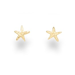 Ohrstecker ''Seestern'' vergoldet